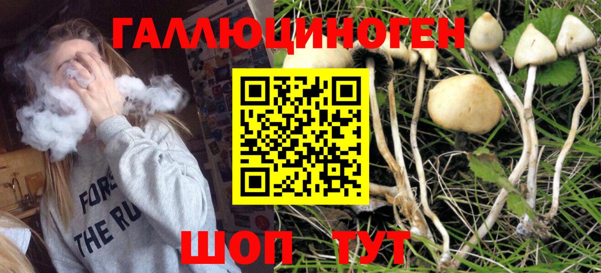 Галлюциногенные грибы GOLDEN TEACHER Соль-Илецк
